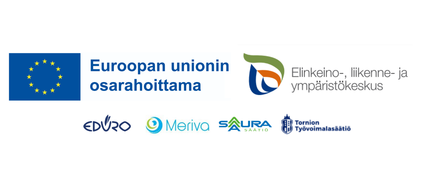 Euroopan unionin osarahoittama logo + hankkeeseen osallistujien logot